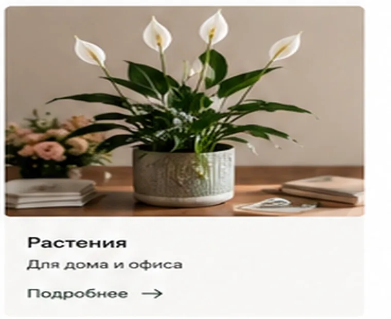 Комнатные растения